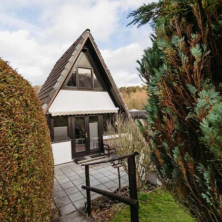 Gemuetliches Nurdachhaus Im Naturparadies Mit Sauna - Erholung Pur Bad Wünnenberg Kültér fotó